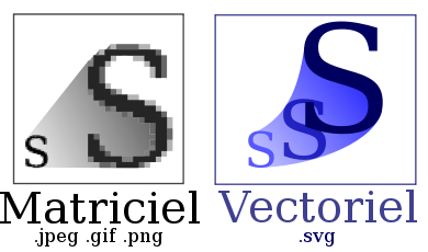 Vector